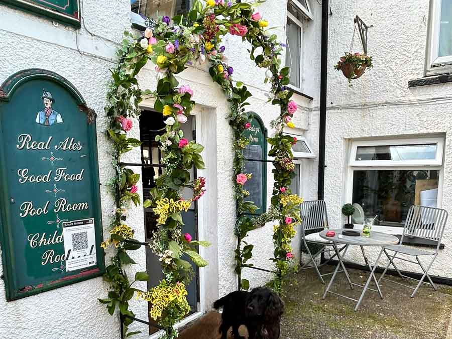 Wedding flowers at the Cornish Arms Frogpool Cornwall and last checks being carried out by our four legged helper. A great venue for any special occasion or function.